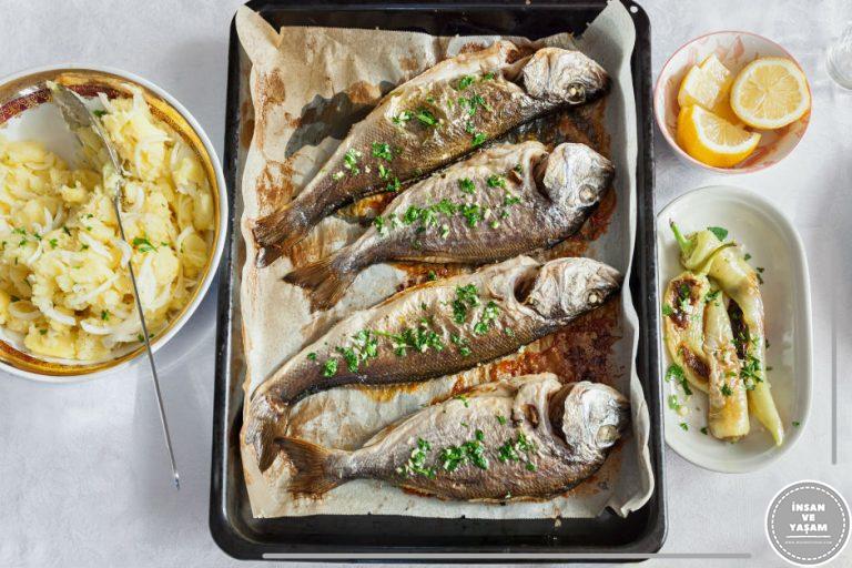 Fırında Çinekop Tarifi