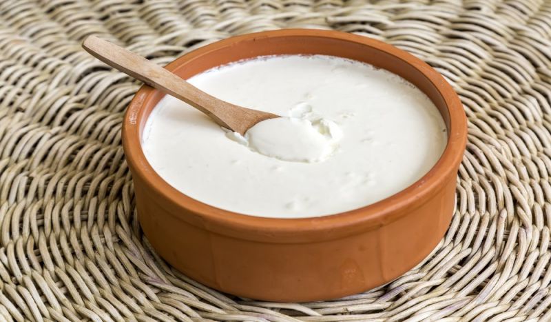 Yoğurtun Faydaları