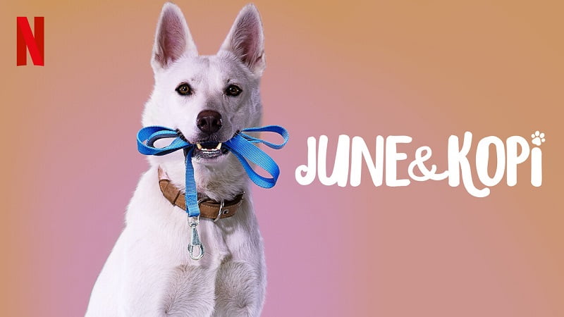 June ve Kopi Filmi Hakkında