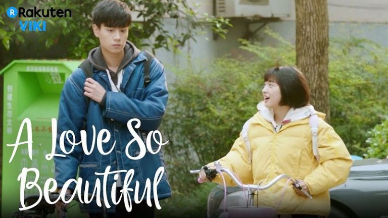 A Love So Beautiful Dizisi (2020)