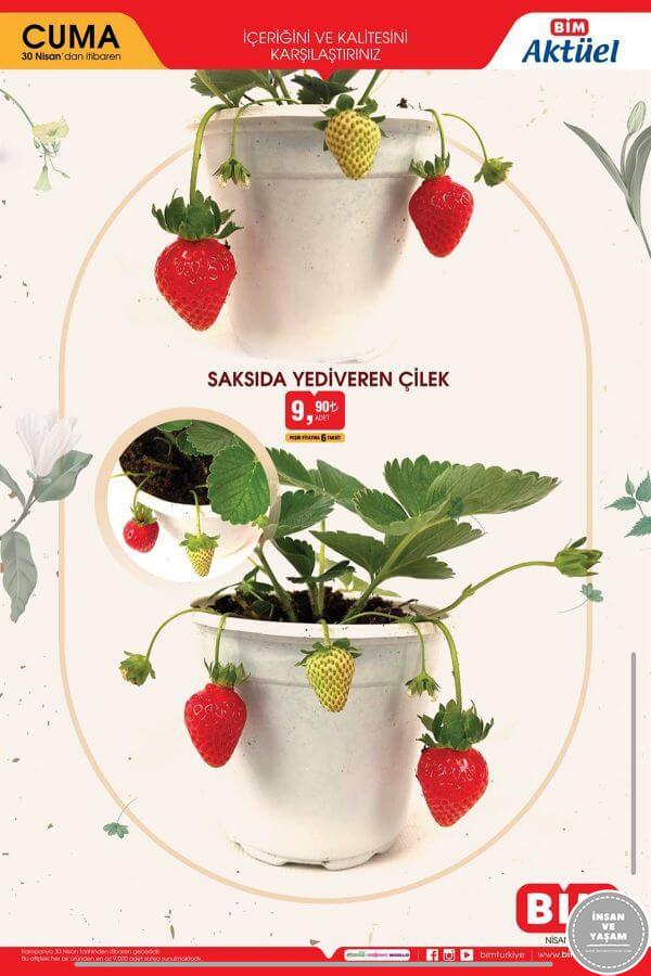 Bim 30 Nisan 2021 Aktüel Ürünler Kataloğu - 4.Sayfa