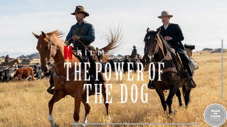 The Power of the Dog Konusu ve Oyuncuları | Netflix
