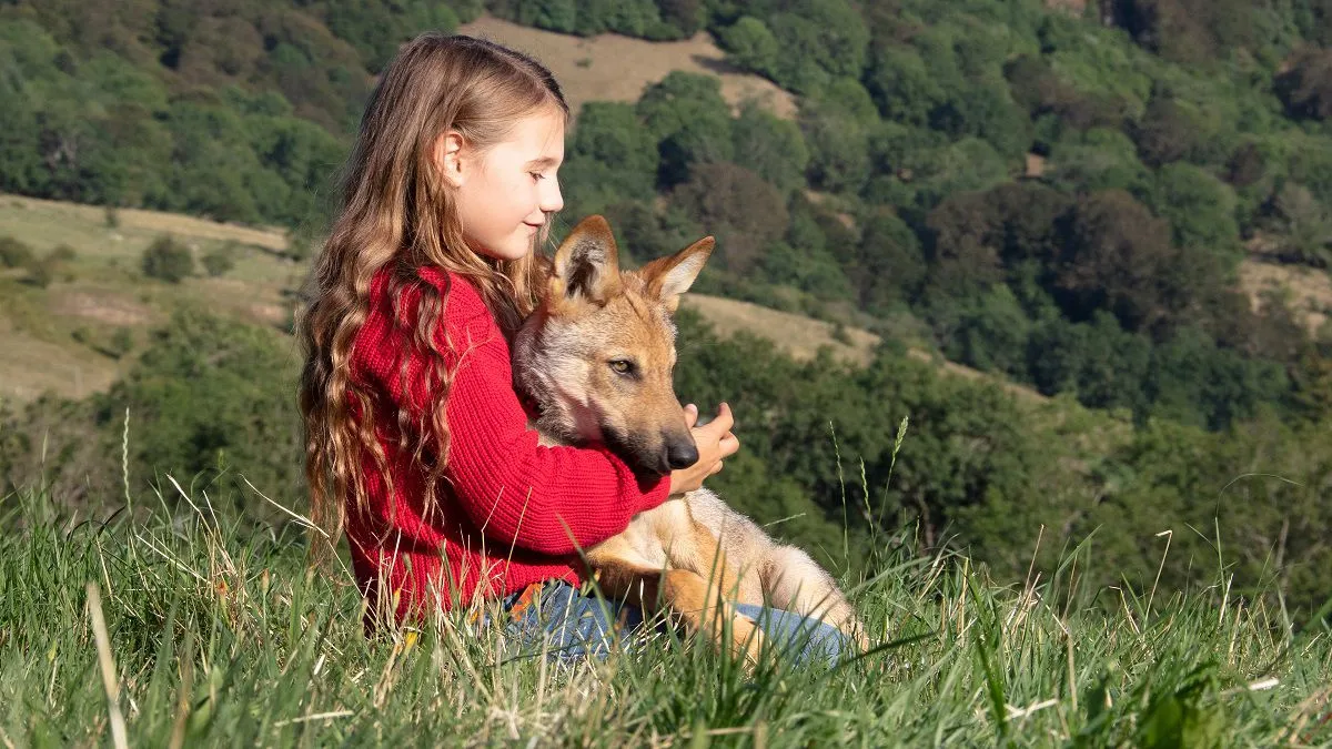 Vicky nin Gizemli Dostu Konusu ve Oyuncuları | Netflix