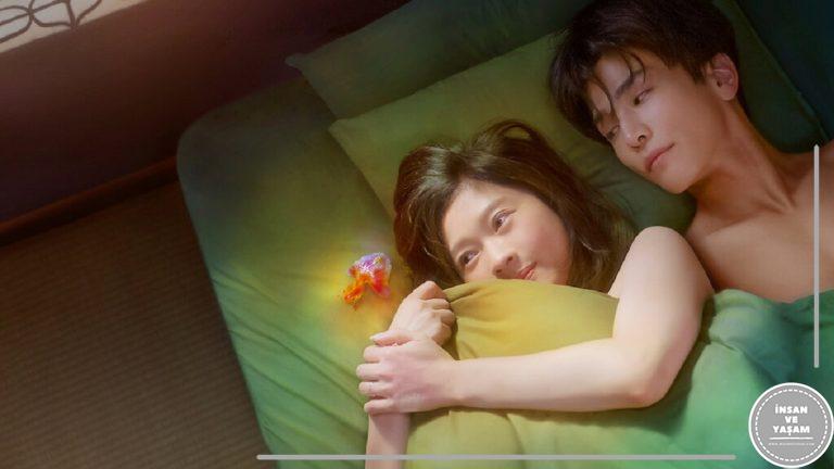 Fishbowl Wives Dizisi Konusu ve Oyuncuları | Netflix