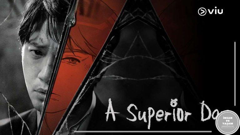 A Superior Day Dizisi Konusu ve Oyuncuları | Kdrama