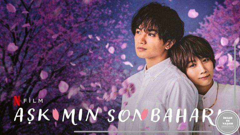 Aşkımın Sonbaharı Filmi Konusu ve Oyuncuları | Netflix
