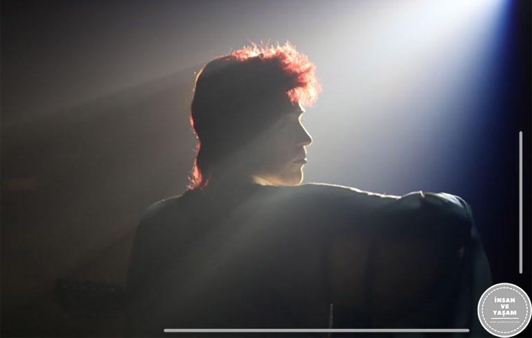 Stardust Filmi Konusu ve Oyuncuları