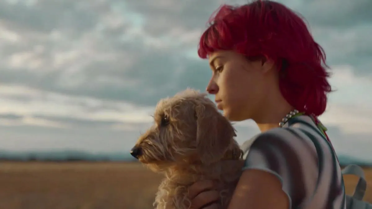 Rainbow Filmi Konusu ve Oyuncuları | Netflix