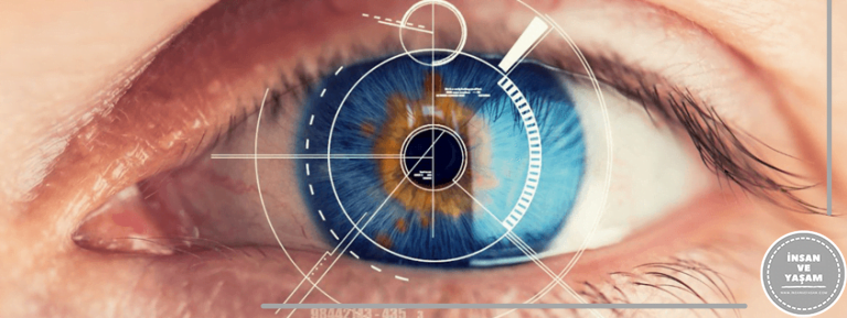 Göz Sağlığında Bilinmesi Gerekenler, Sağlık bir Göz