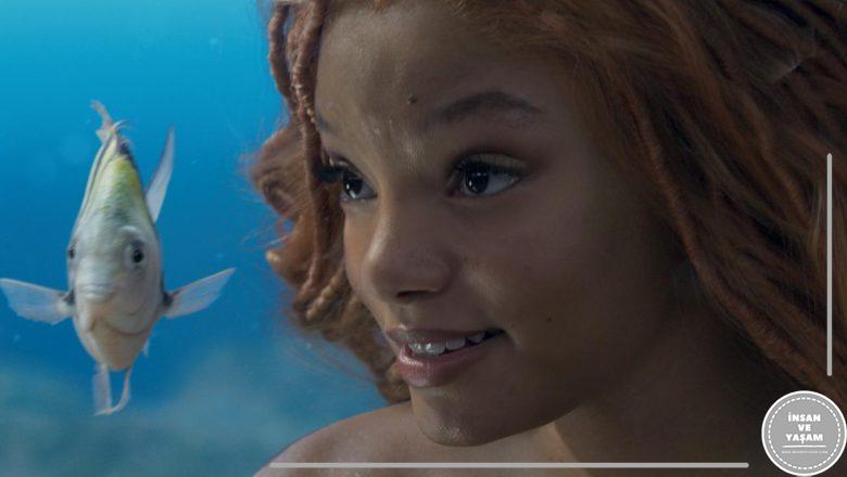  Küçük Deniz Kızı, Disney filminde Halle Bailey, Melissa McCarthy ve Rob Marshall’ı canlandırıyor
