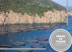 Su Ürünleri Mühendisliği Bölümü Hakkında