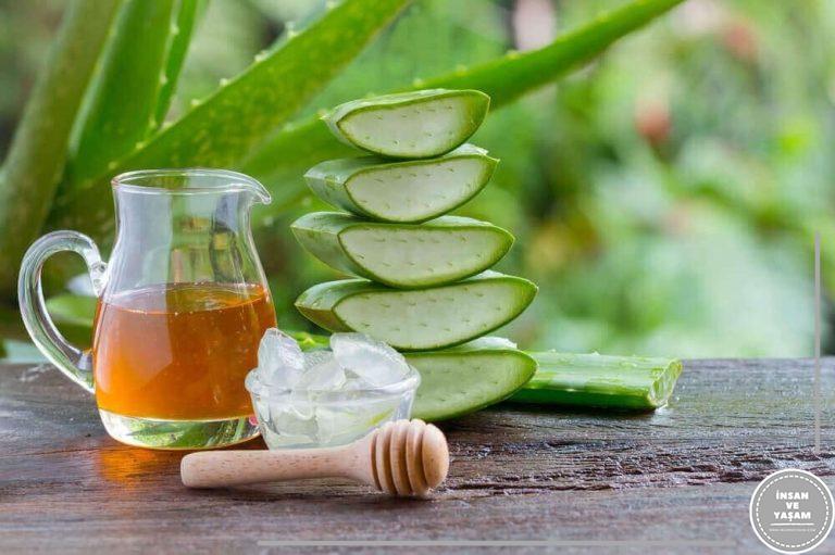 Aloe vera ile Sivilceler Nasıl Geçer?
