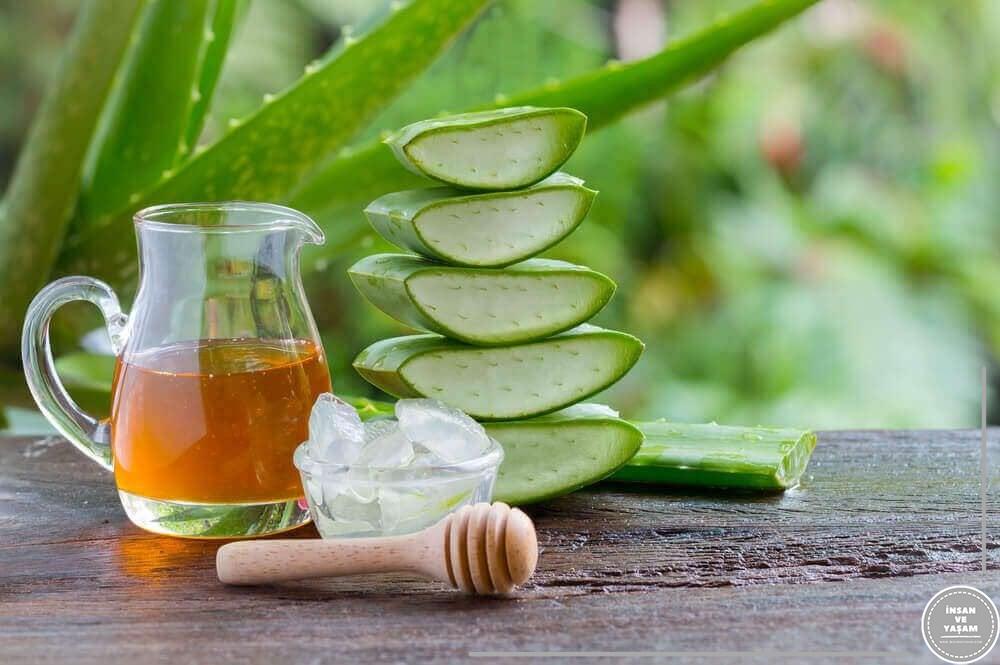 Aloe vera ile Sivilceler Nasıl Geçer?