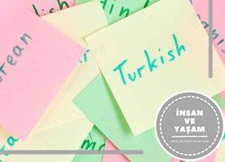 Turk Dili ve Edebiyati Bolumu Hakkinda ve Is Olanaklari 1