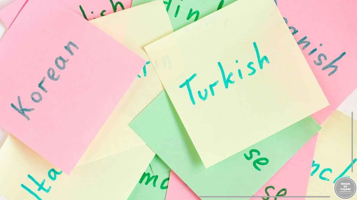 Turk Dili ve Edebiyati Bolumu Hakkinda ve Is Olanaklari 1