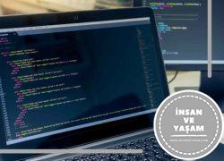 Web Tasarım ve Kodlama Bölümü Hakkında, İş Olanakları