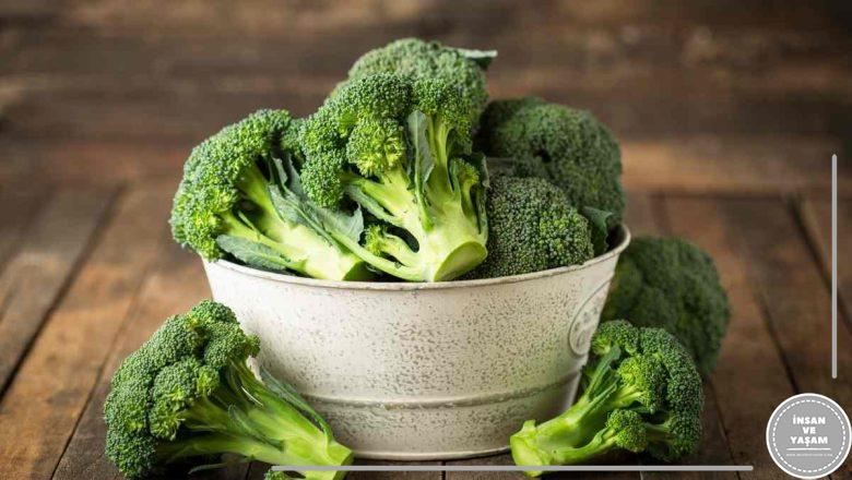  Brokoli’nin Yararları? Brokoli Neye İyi Gelir, İçindeki Vitaminler