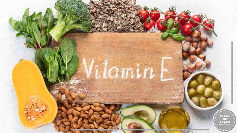 E Vitamini Hakkında, E Vitamini Nelerde Bulunur