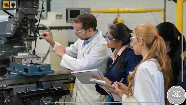 Mekatronik Bölümü Hakkında, İş Olanakları ve Avantajları