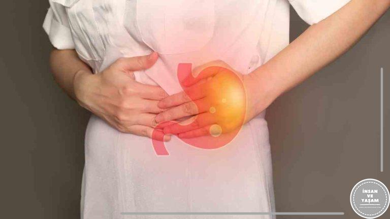 Ülser Nedir? Ülserin Belirtileri, Nedenleri ve Tedavisi