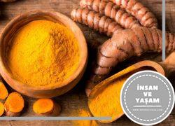 Zerdeçal Hakkında, Zerdeçalın Yararları, Zerdeçal Neye İyi Gelir