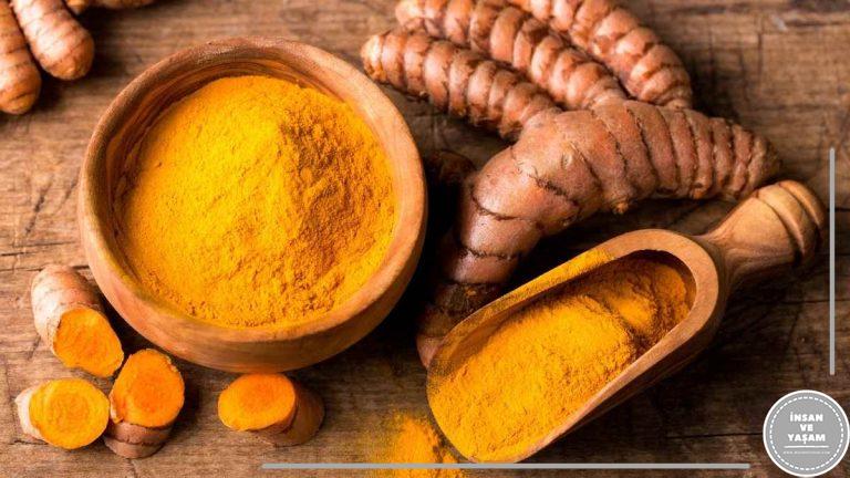 Zerdeçal Hakkında, Zerdeçalın Yararları, Zerdeçal Neye İyi Gelir?