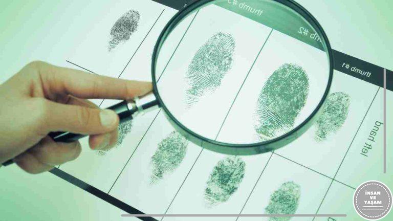 Adli Bilimler Bölümü, İş Olanakları, Adli Bilimler Bölüm Ne İş Yapar