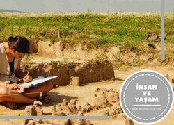 Arkeoloji ve Sanat Tarihi