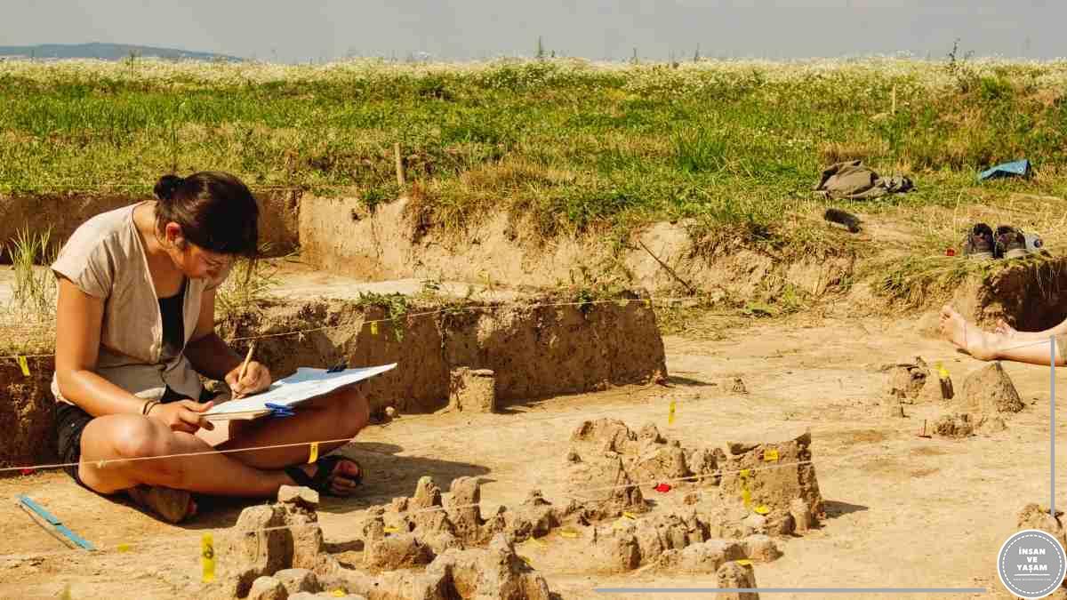 Arkeoloji ve Sanat Tarihi Bölümü Hakkında, İş Olanakları ve Avantajları