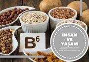 B6 Vitamini Yararları, Vitamin B6 Ne İşe Yarar, Nelerde Bulunur?
