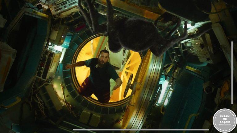 Bir Astronotun Sonsuz Yolculuğu Konusu ve Oyuncuları | Netflix