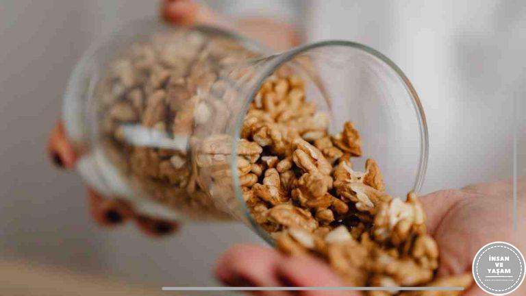 Cevizin Yararları, Cevizdeki Vitaminler, Ceviz Neye İyi Gelir