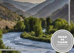 Fırat Nehri Hakkında, Fırat Nehri'nin Önemi ve Faydaları