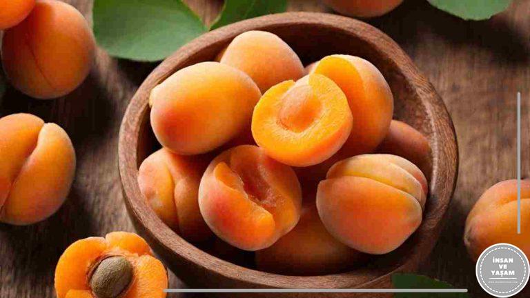 Kayısı Hakkında, Kayısının Yararları, İçindek Vitaminler, Ne İşe Yarar