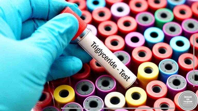 Trigliserid Nedir? Trigliseridler’in Yüksek ve Düşük Olması Nedir?