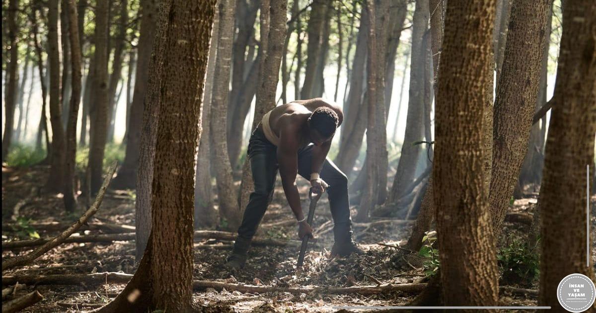 Avcının Kalbi Film Konusu ve Oyuncuları | Netflix