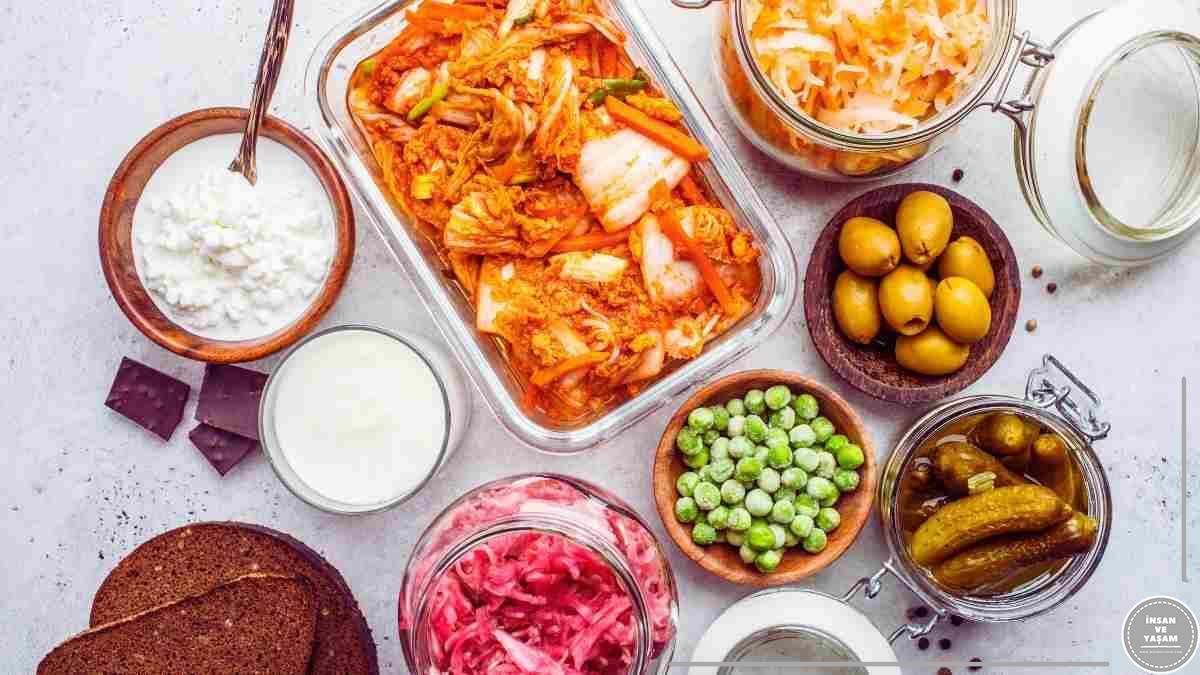 Probiyotikler Sindirim Sistemi Sağlığındaki Rolü ve Faydaları (1)