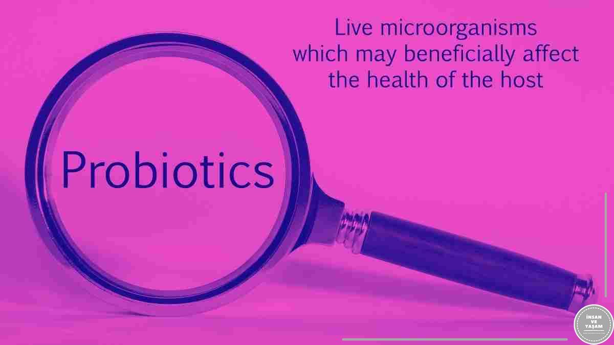 Probiyotikler Sindirim Sistemi Sağlığındaki Rolü ve Faydaları (2)