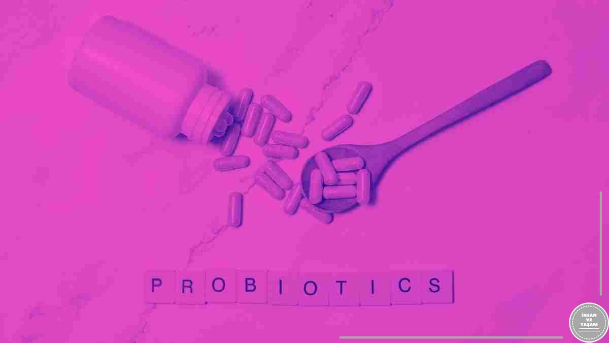 Probiyotikler Sindirim Sistemi Sağlığındaki Rolü ve Faydaları