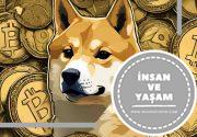 Dogecoin Nedir? Temelleri ve Geleceği